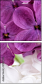 51957313