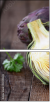 52349842
