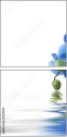52702119