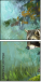 52717561