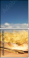 52793015