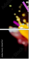 52867767
