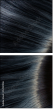 52931906