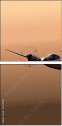 53511493