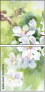 53792086