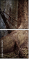 53836351