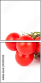 53937220