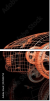 53945755
