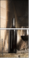 54029258