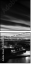 54358536