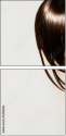 54408663