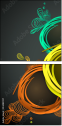 54482937