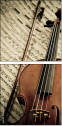54506799