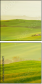 54529677