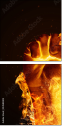 54582803