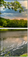 54835338