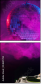 54847785