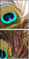 54904462