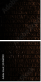54969981