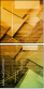 54970423