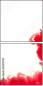 54973703