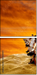 55164339