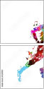 55201907