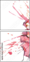 55217636