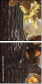 55703900