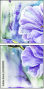 55838203