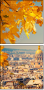 55873344