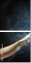 55886651