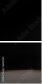 56107834