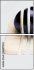 56471033