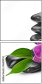 56689552
