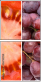 56732934