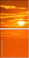 57016161