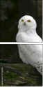 57060206