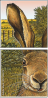 57328279