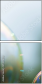 57437376