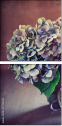 57545430