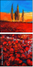 57599272