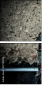 57784574