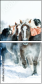 57801231