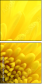 57915870