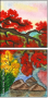 57983617