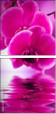 58002130