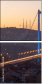 58063281