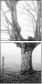 58341344