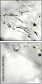 58535251